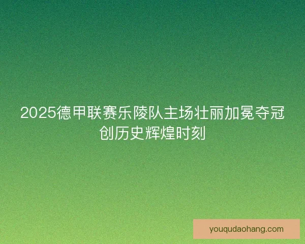 2025德甲联赛乐陵队主场壮丽加冕夺冠创历史辉煌时刻