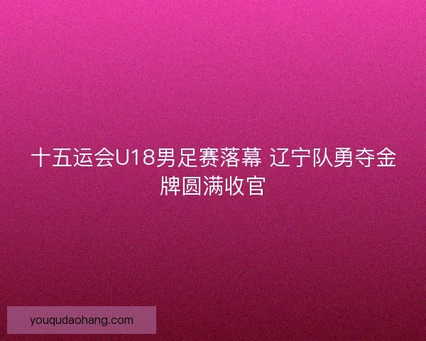 十五运会U18男足赛落幕 辽宁队勇夺金牌圆满收官